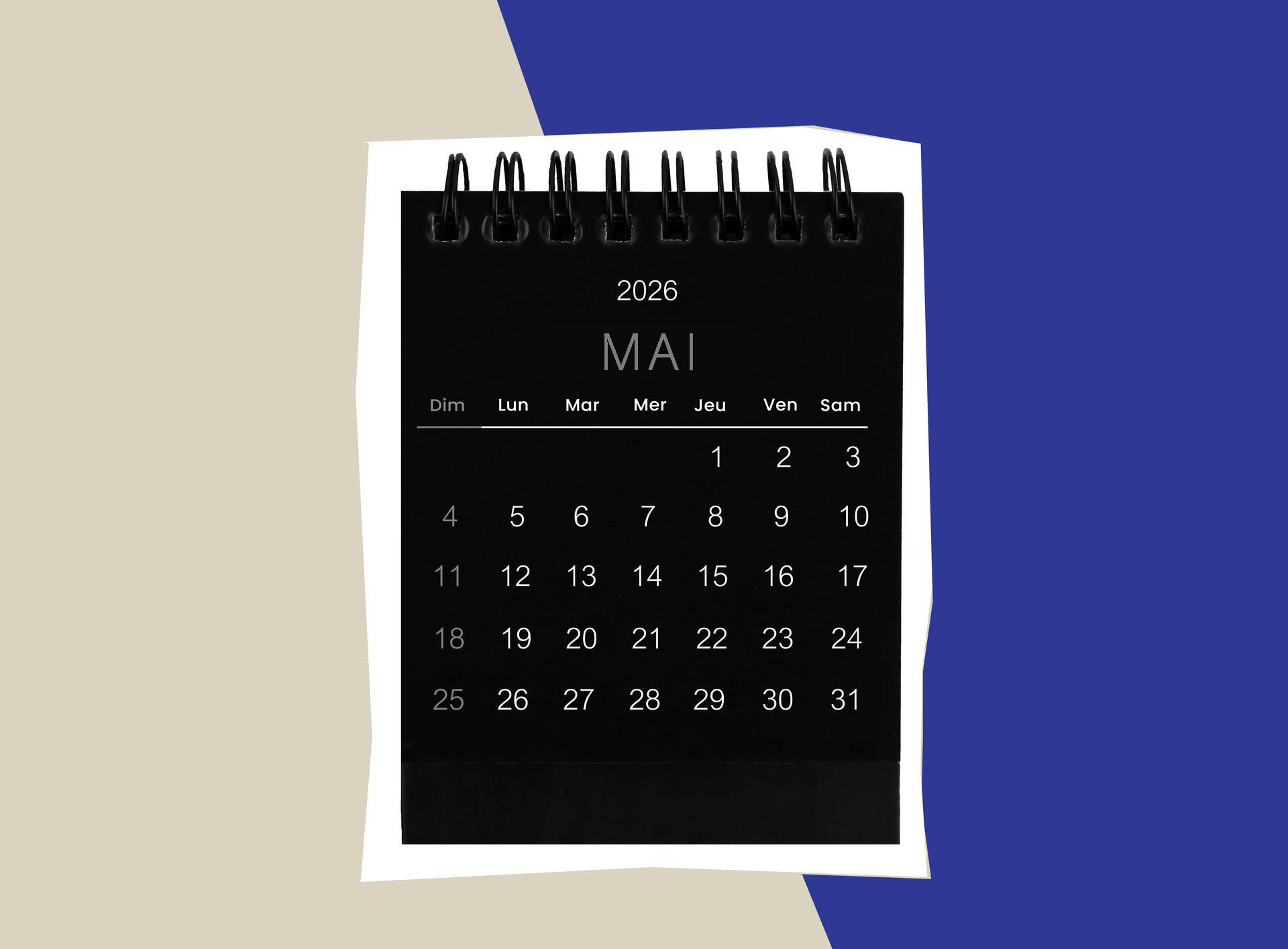 Exhibition Piece Placeholder