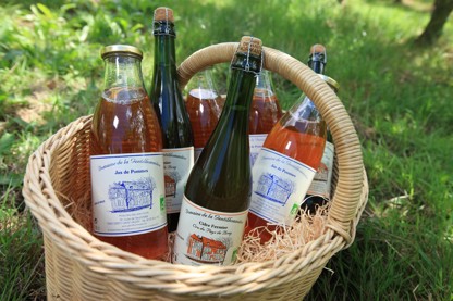 France, Haute Normandie, seine maritime, pays de bray, osmoy saint valery, felix platel, producteur de cidre, pommier, gastronomie, ferme de la gentilhommiere, produits cidricoles,