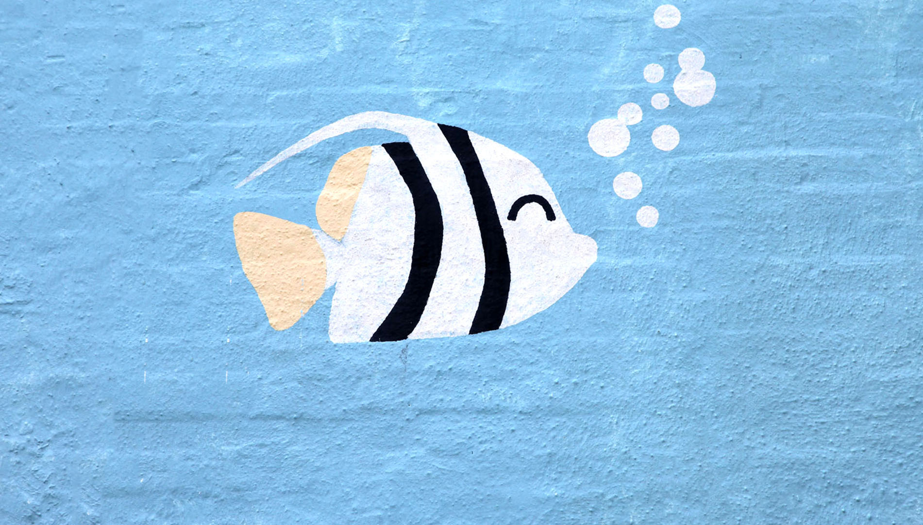 It's a photo of painted fish or turtle or sea horse on a wall of a swimming pool. It's mostly blue color