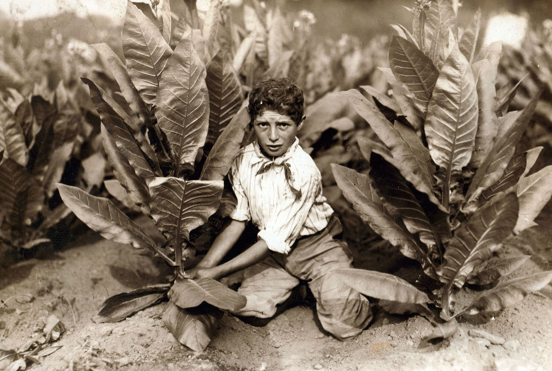Child labor