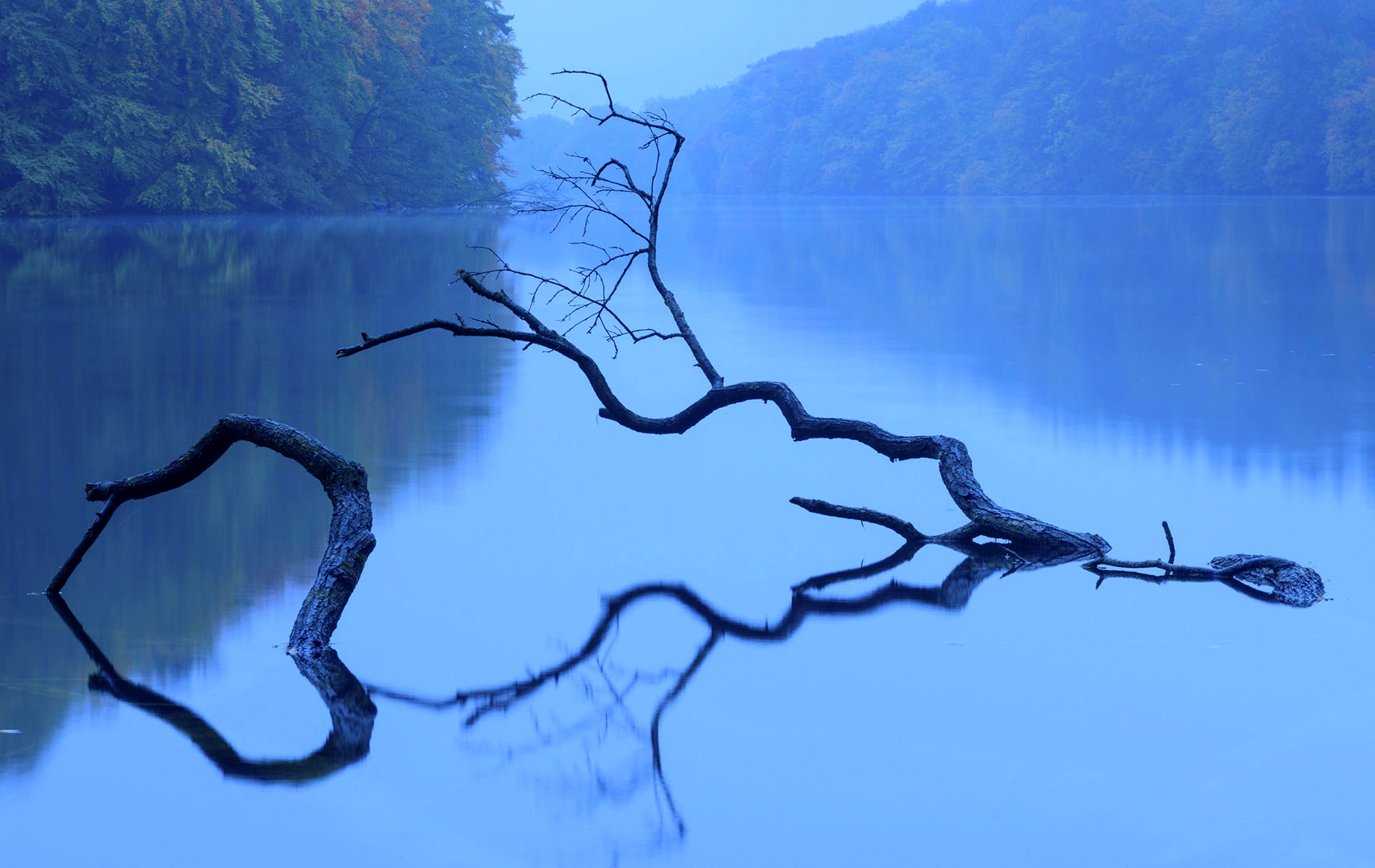 View of the lake Schmaler Luzin in the Feldberger Seenlandschaft in autumn at the blue hour