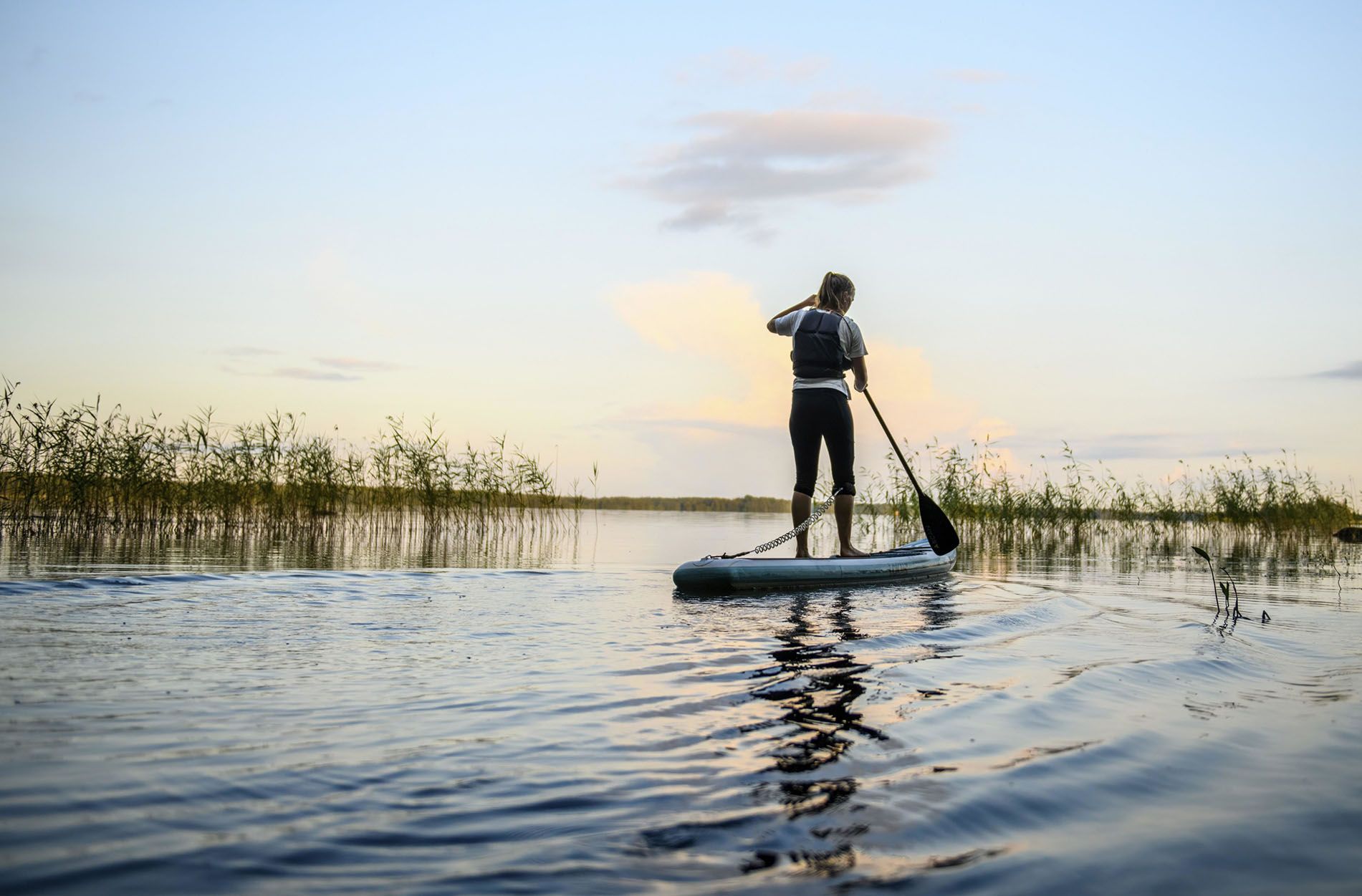 Person paddles on a stand-up paddle board at sunset on a lake surrounded by reeds, Asnen, Kronborgs län, Sweden