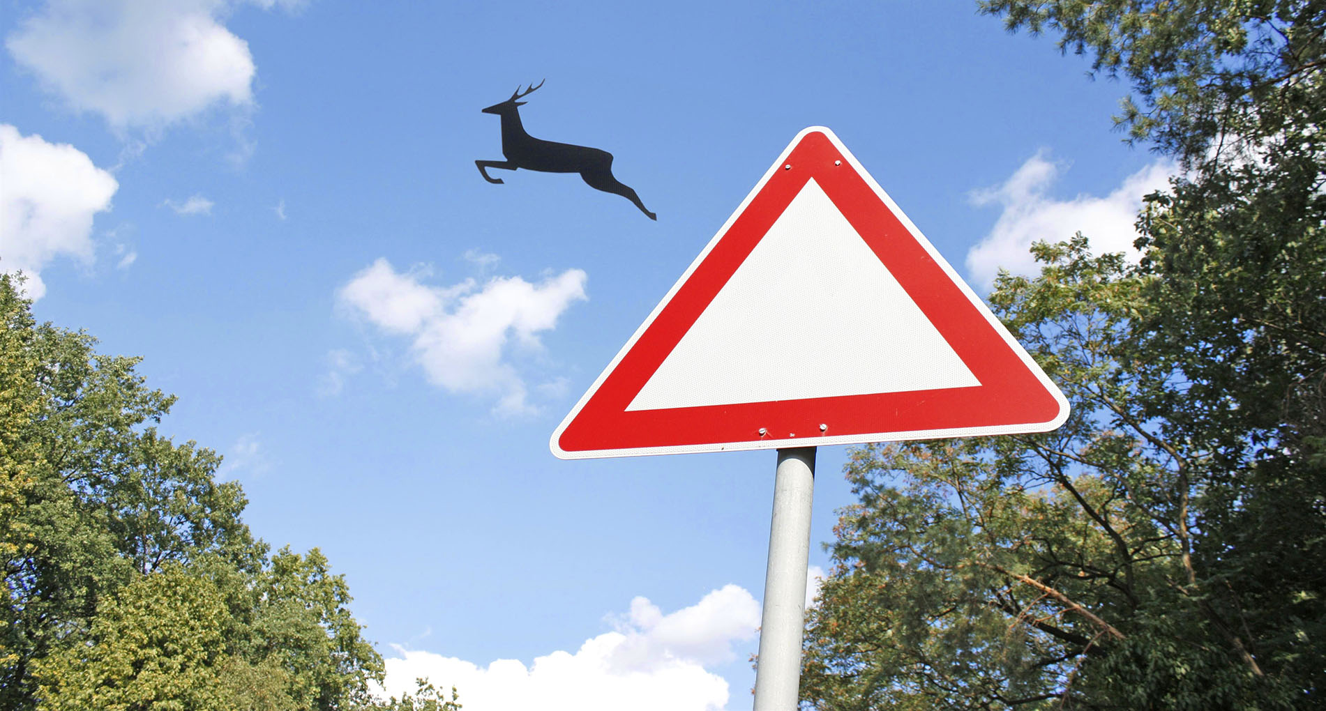 Deer jumps out of the traffic sign
