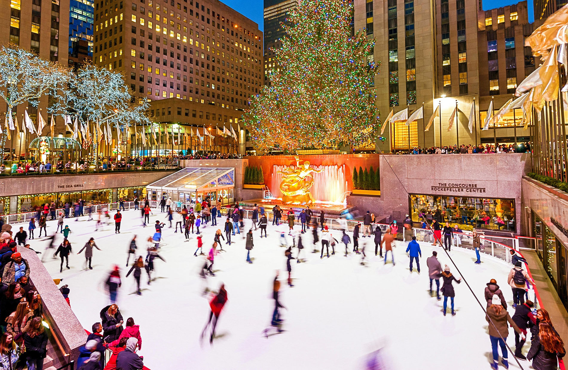 Christmas New York Rockefeller Plaza Ice Skating Rink Christmas Tree