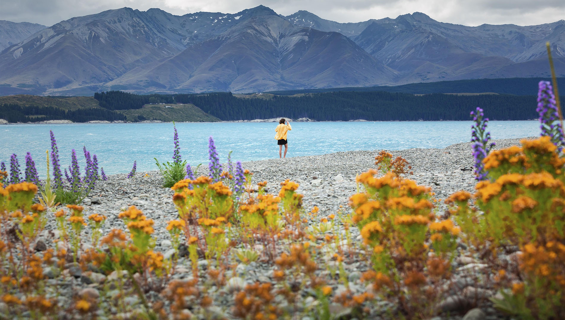 Guy at a beach at Lake Tekapo