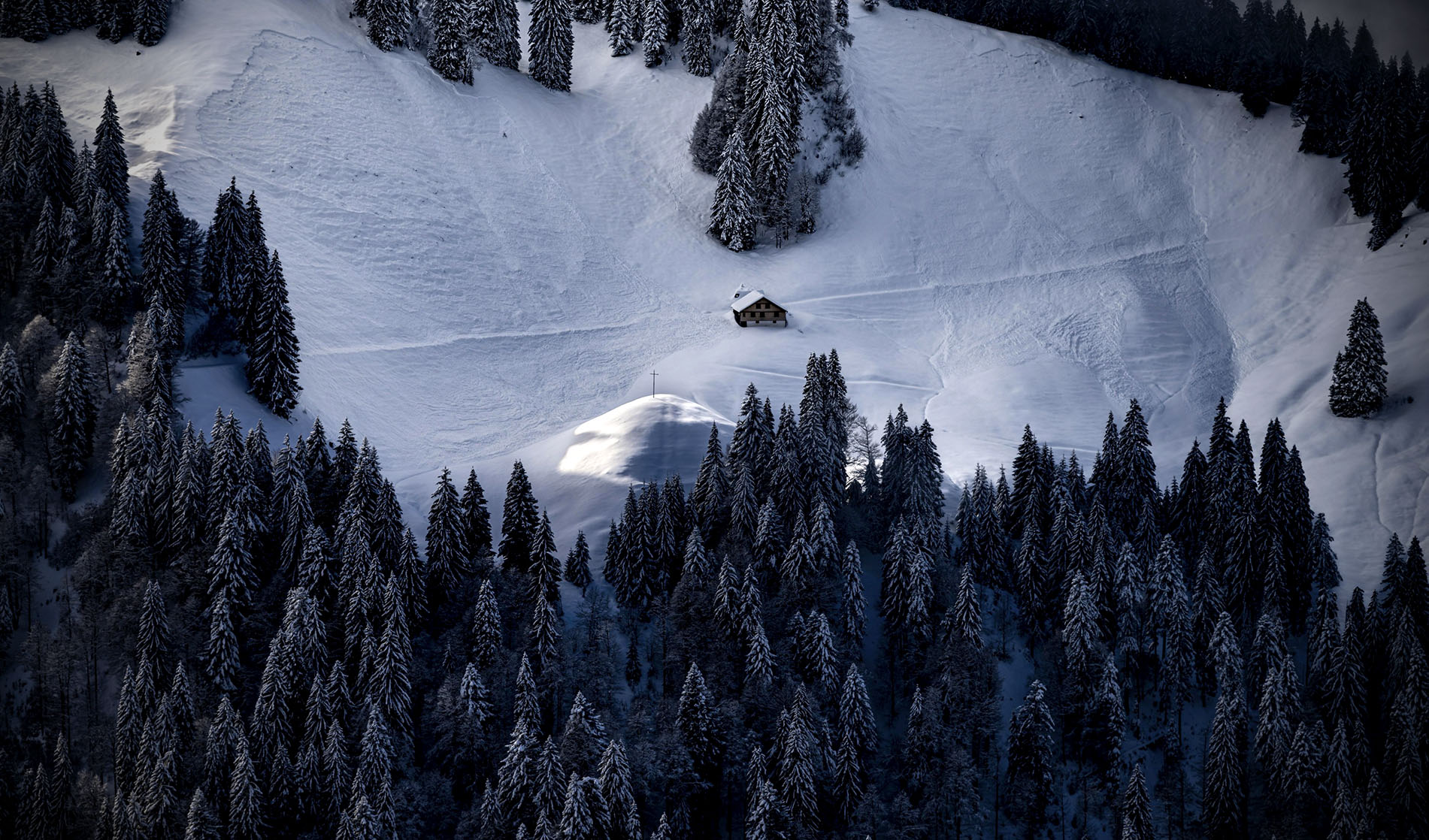 Winter forest with mountain hut, Balderschwang, Oberallgaeu, Bavaria, Germany, Europe