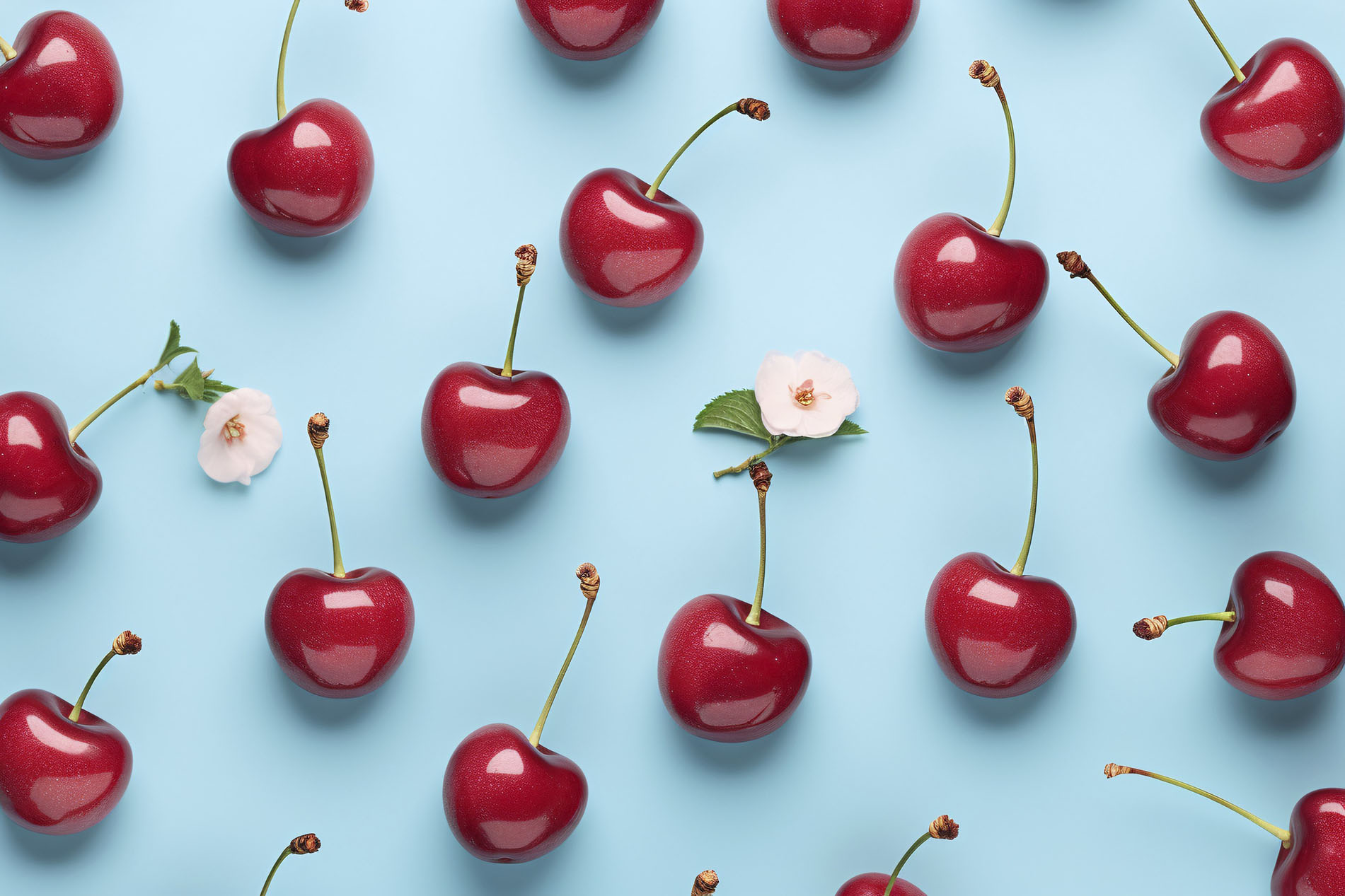 Top view of cherry fruits on blue background. KI generiert, generiert, AI generated