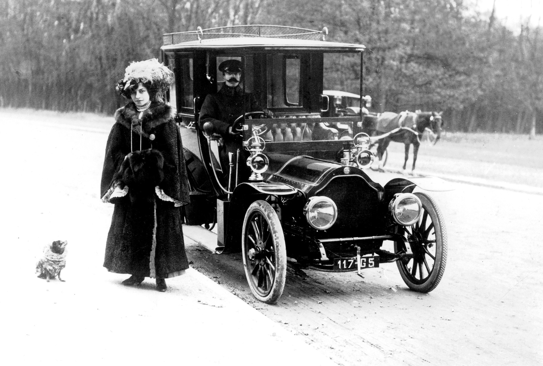 Polar coldness at the bois de Boulogne (France)