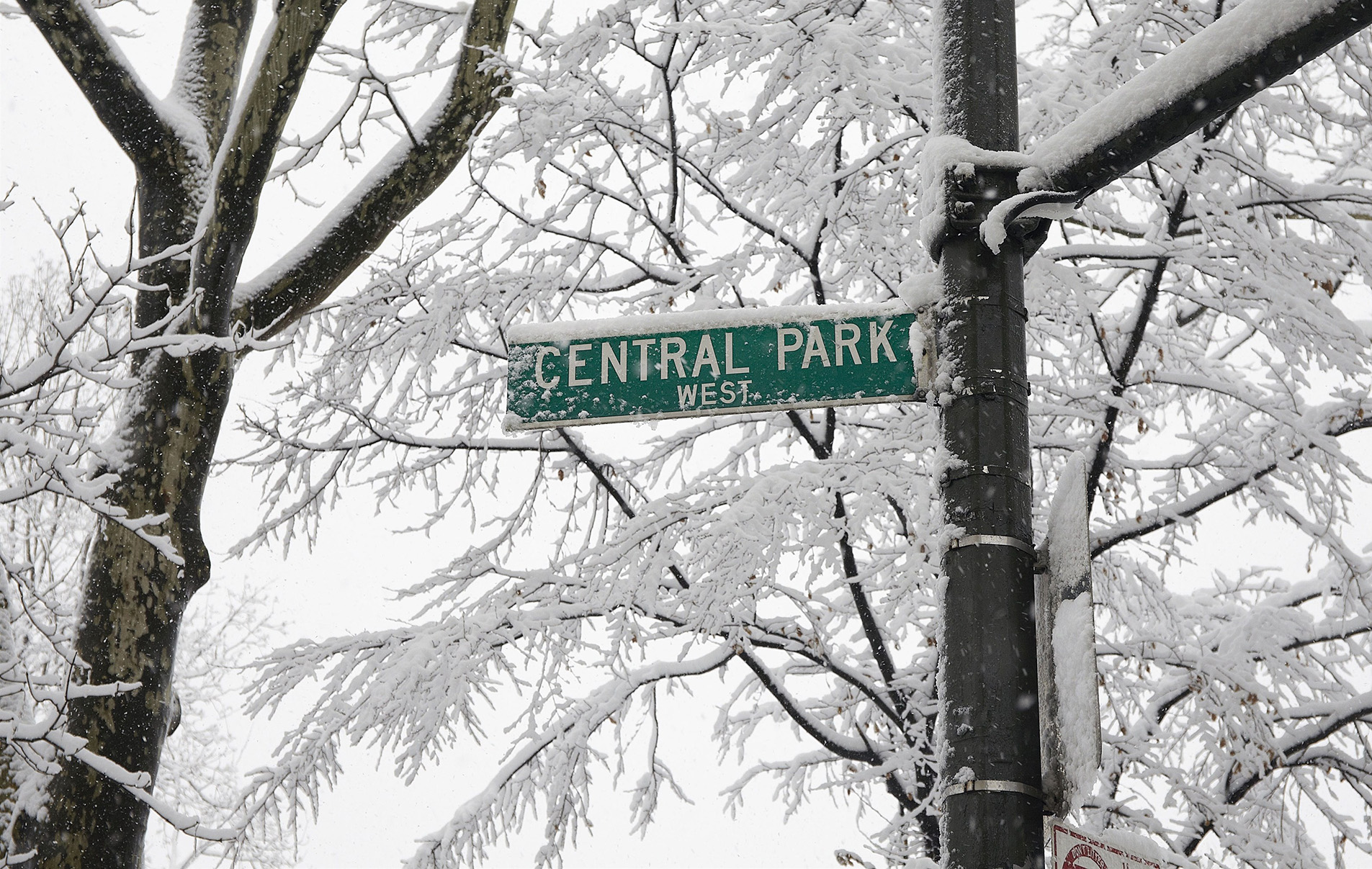 Low angle view of Central Park sign.
Photo :  Winslow Productions
