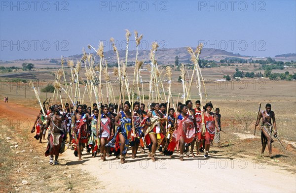 Danse traditionnelle Umhlanga au Swaziland