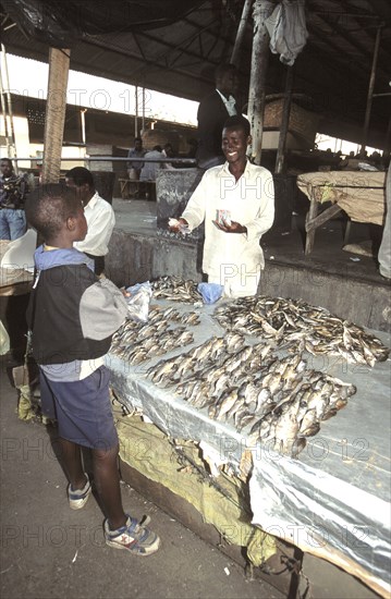 Fish Market
\n