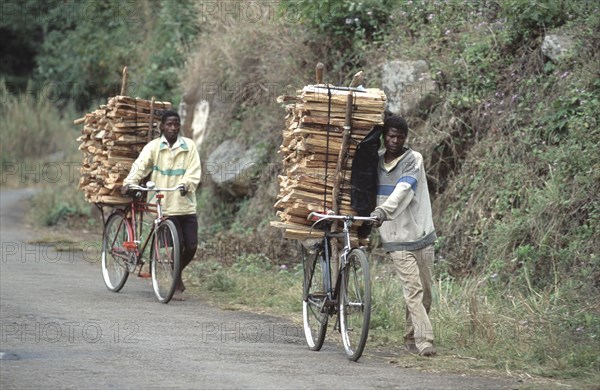 Carrying fire wood
\n