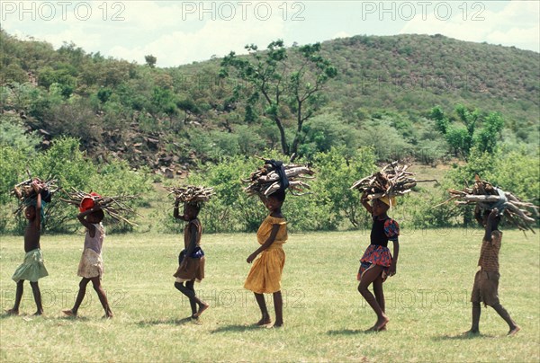 Girls gathering wood
\n