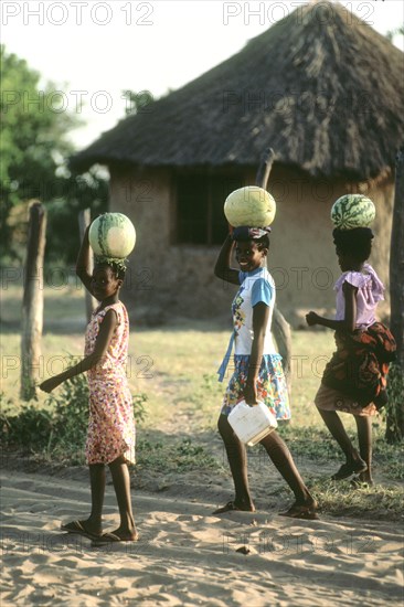 Watermelon Girls
\n