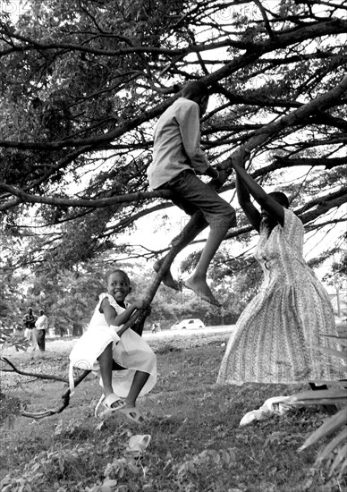 Burundi, Children swing on the barnches of &quot;the love tree&quot;. A tree in the capital, Bujumbura, known as a popular place to have wedding photos taken, but use to be a  where people where executed during Burundi&aposs bloody past, March 2006.