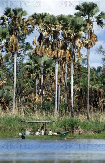 BOAT SAFARI, SHIRE RIVER, MALAWI