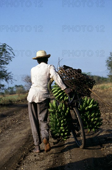 BANANA MAN PUSHING BICYCLE, QUEEN ELIZABETH PARK, UGANDA