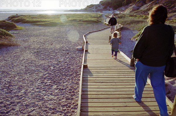 Late afternoon walk on Long Beach.