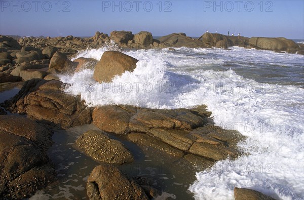 Shoreline, South Coast