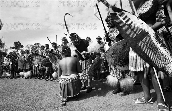 Shaka Day celebrations