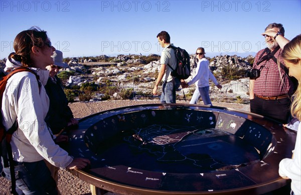 Table Mountain