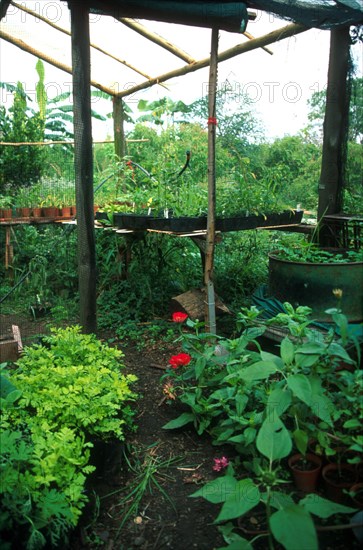 permaculture