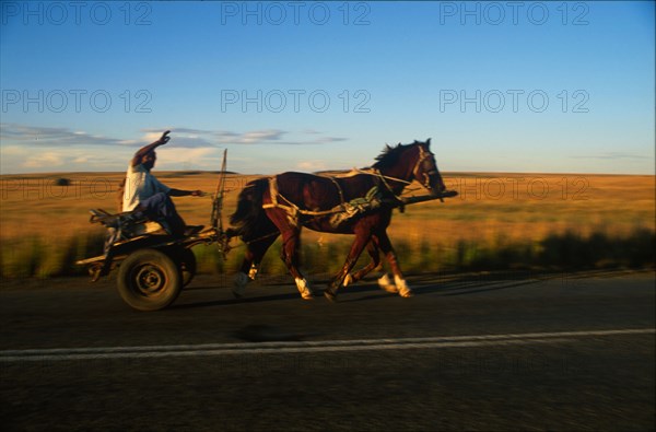 horse riding