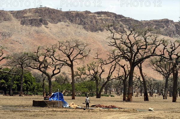 Darfur