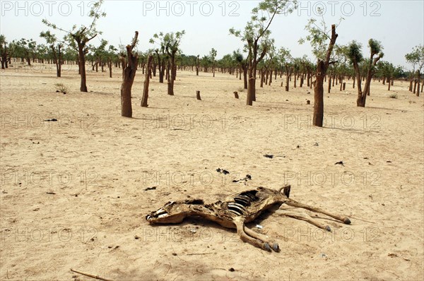 Darfur