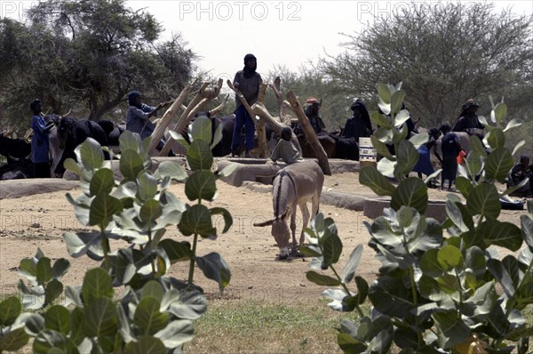 Niger