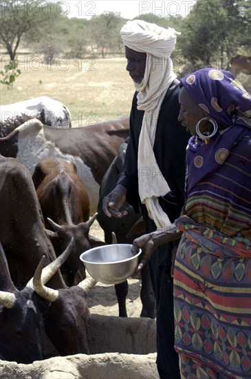 Niger