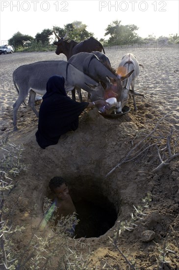 Niger