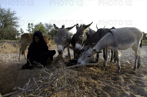 Niger