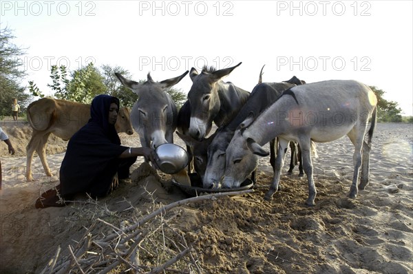 Niger