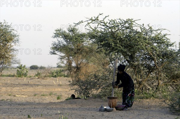 Niger