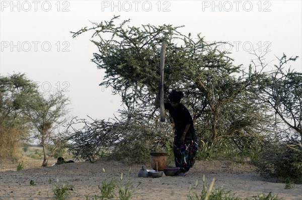 Niger