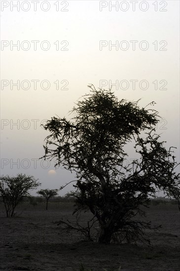 Niger