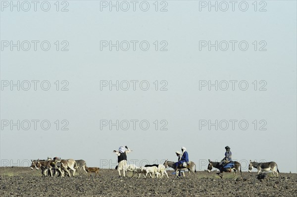 Niger