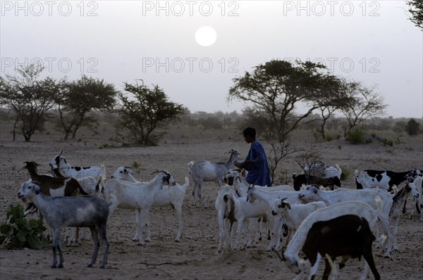 Niger