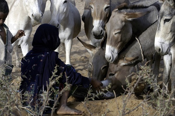 Niger