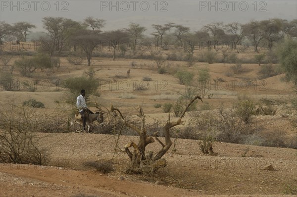 Darfur