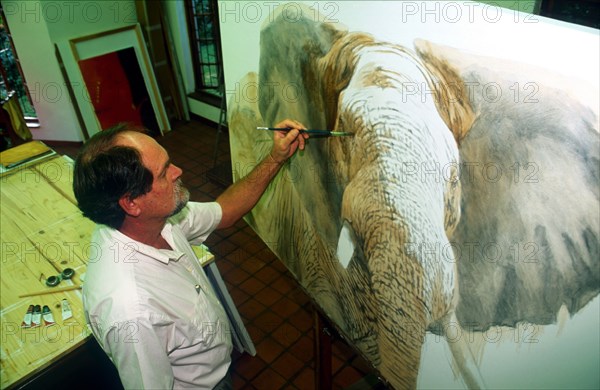 Kim Donaldson - Wildlife Painter