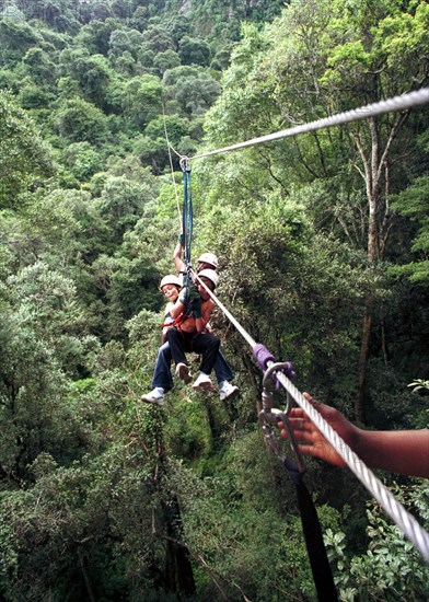 1993 Karkloof, KwaZulu-Natal, South Africa
trees, ropes, forest, tree, forests, jungle, tropical rain forest, leaves, adventure sports