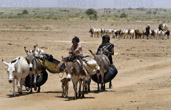 Nomads are seen with their animals at the Salt Cure festival drawing nomads from all over the region to InGall, near Agadez in Niger on Thursday Sept. 25, 2003.  The Wodaabe men perform a dance, showing off the whiteness of their teeth and eyes, to compete for honour and selection as the most beautiful man by women of the tribe at the festival celebrated at the end of the rainy season. (Photo/Christine Nesbitt)