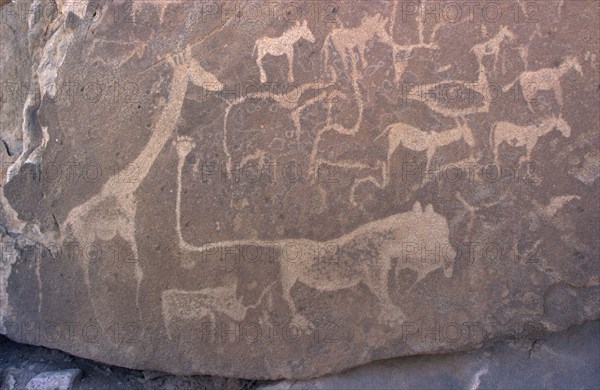 Rock Engravings