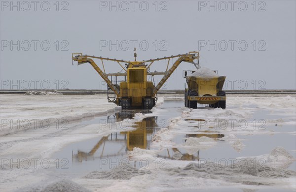 Salt collection