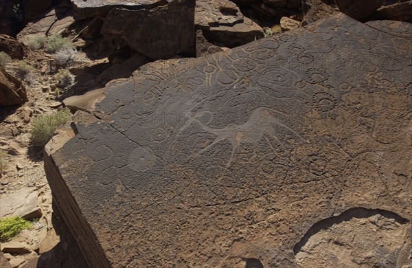 Rock Engravings