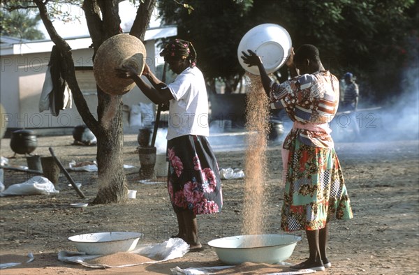 Ladies cleaning Sorghum