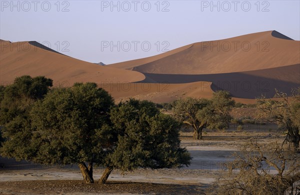 Red Dunes