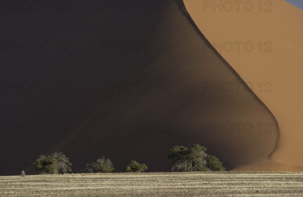 Red Dunes